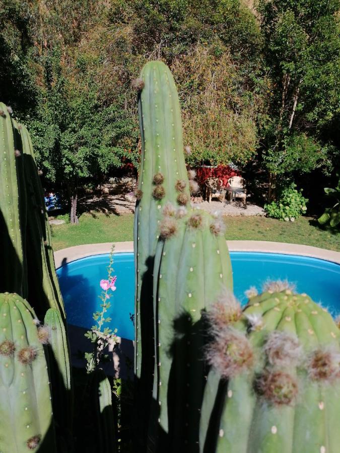 El Jardin Secreto-Pisco Elqui Aparthotel Exterior foto